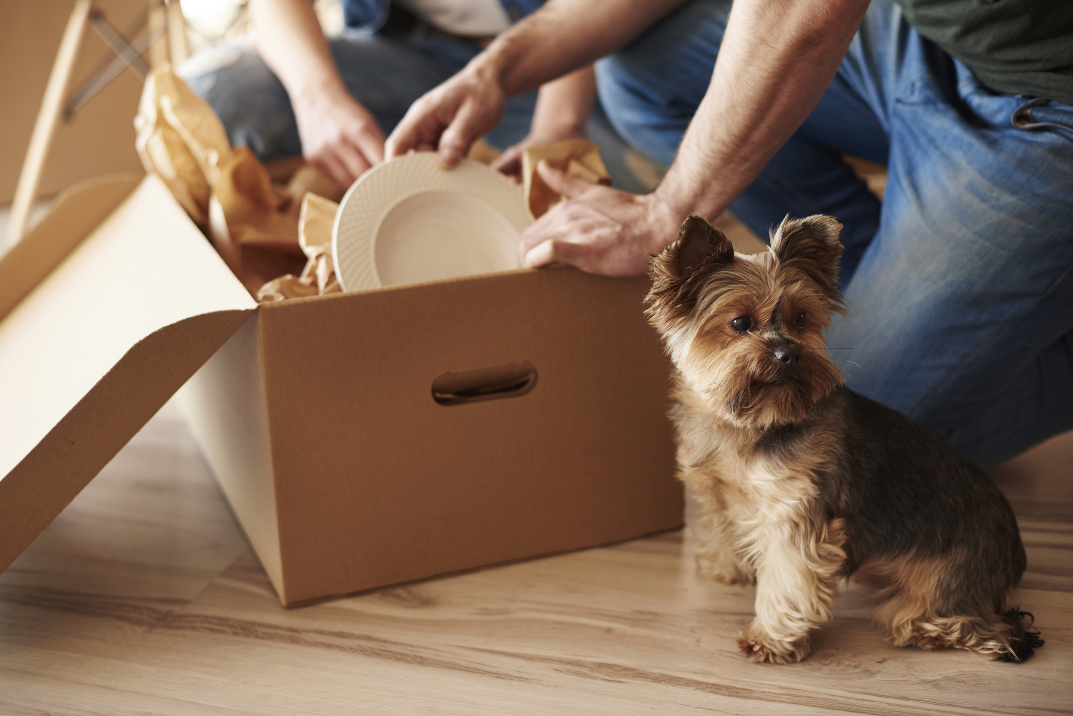 Here's What to Pack First When Moving